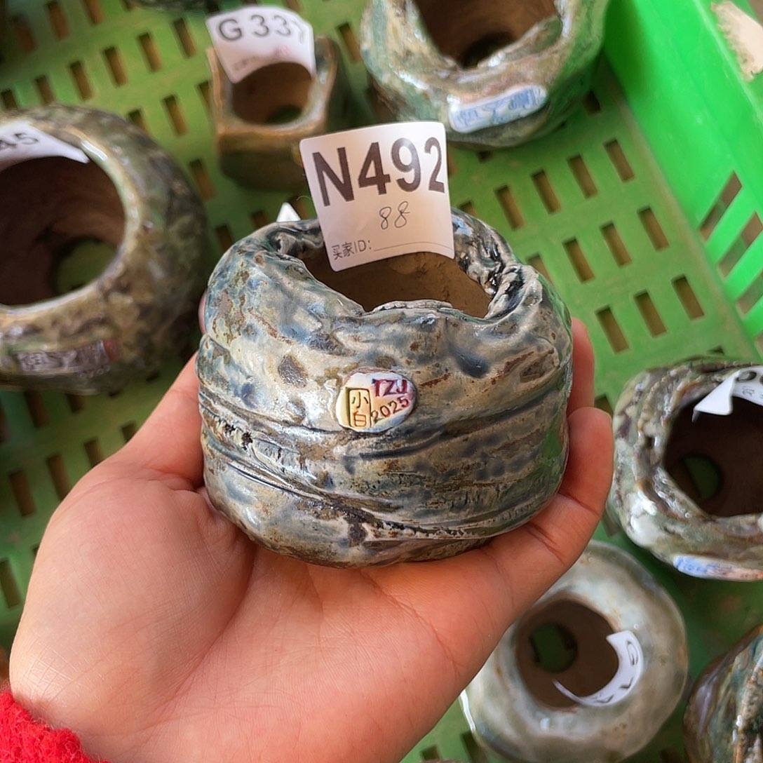 坛子姐花盆 小白孤品 内口4.5百搭