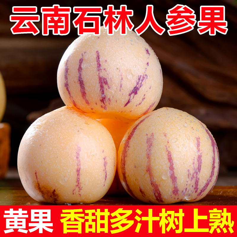 云南石林人参果黄肉大果新鲜水果树上熟3/5/9斤当季整箱人生果