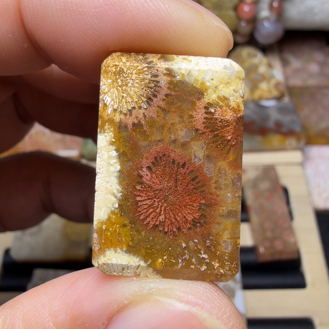 硅化玉未镶嵌纯天然色有机玉石保真色