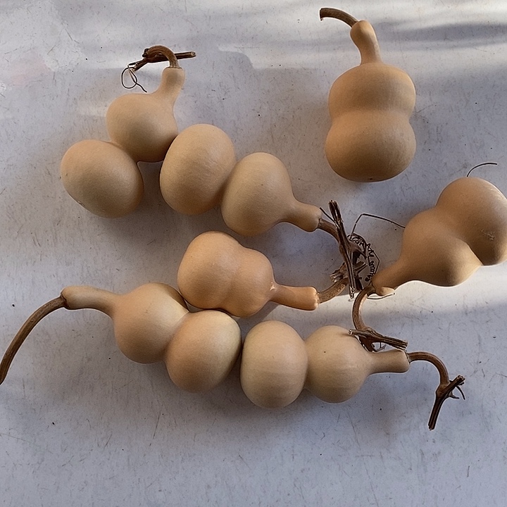 *****天然植物葫芦有点瑕