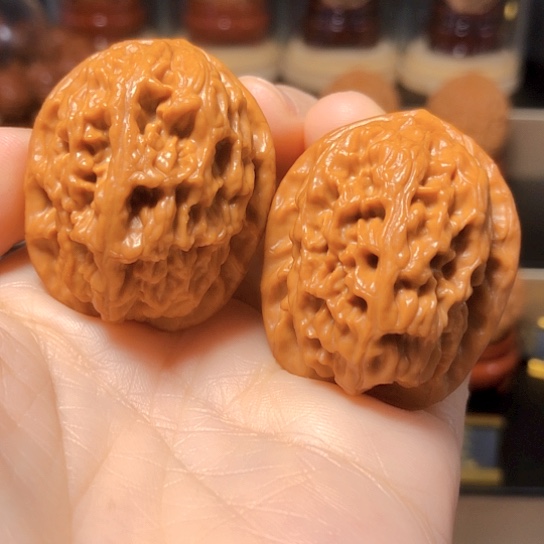 野生小众：精品红莲