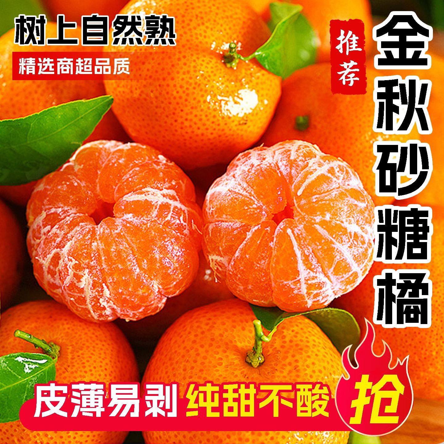 正宗金秋砂糖橘产地直发坏果入口即化坏果包赔冬季水果爽甜多汁