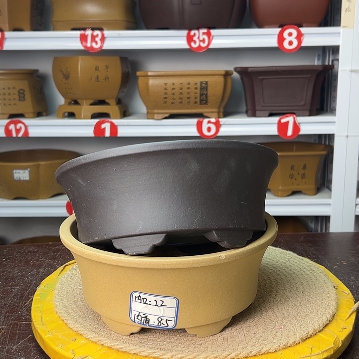 花盆紫砂你在一起