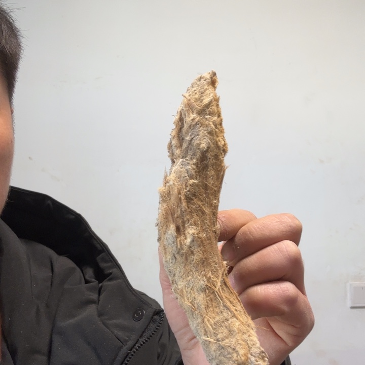 圆***率有机玻璃太行崖柏太行崖柏