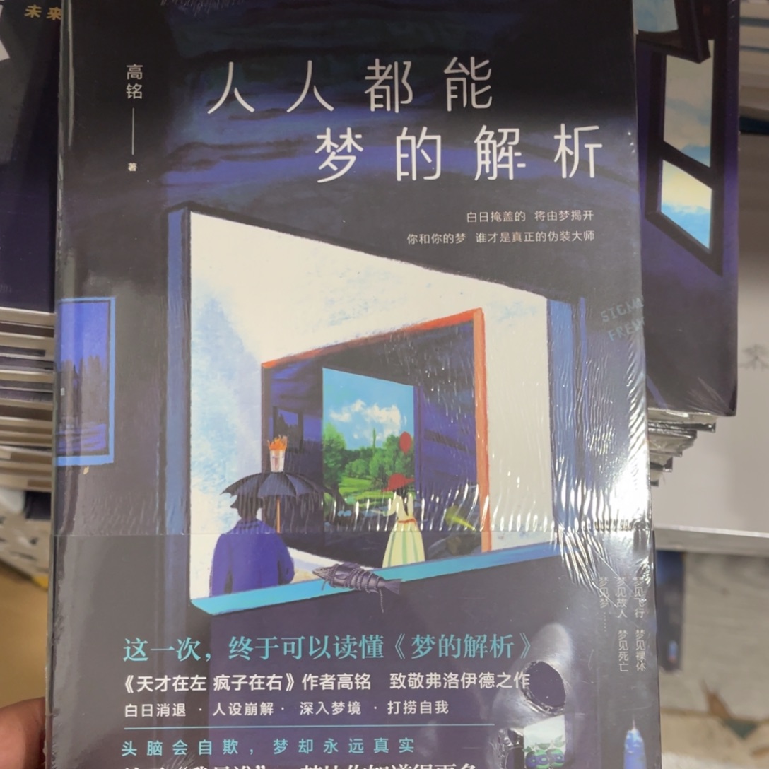 人人都能梦的解析