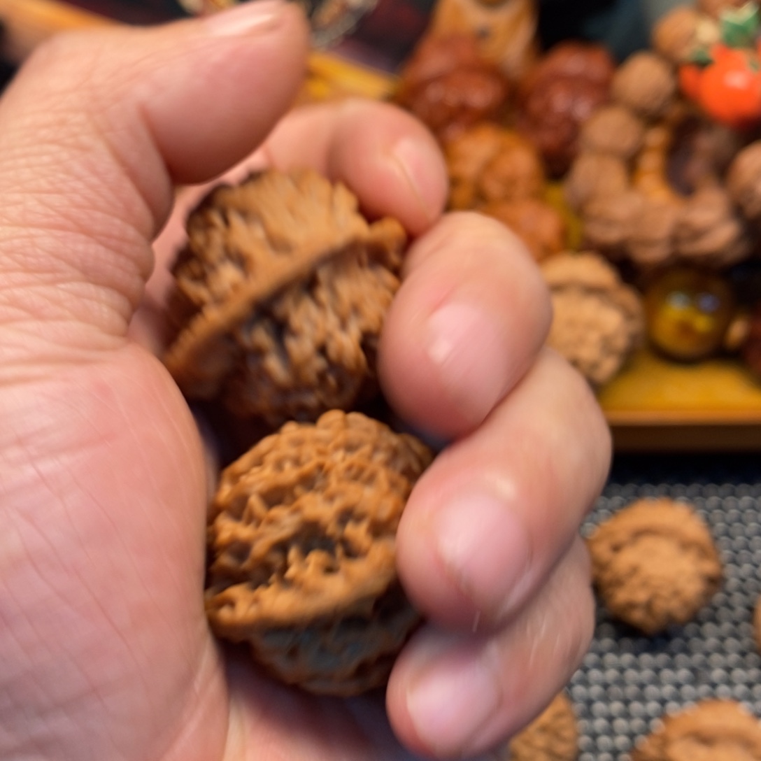 尝***尝秦岭森林中发现过几