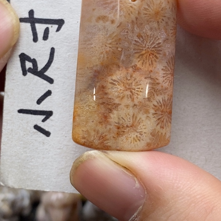 硅化珊瑚（珊瑚玉）未镶嵌颈饰