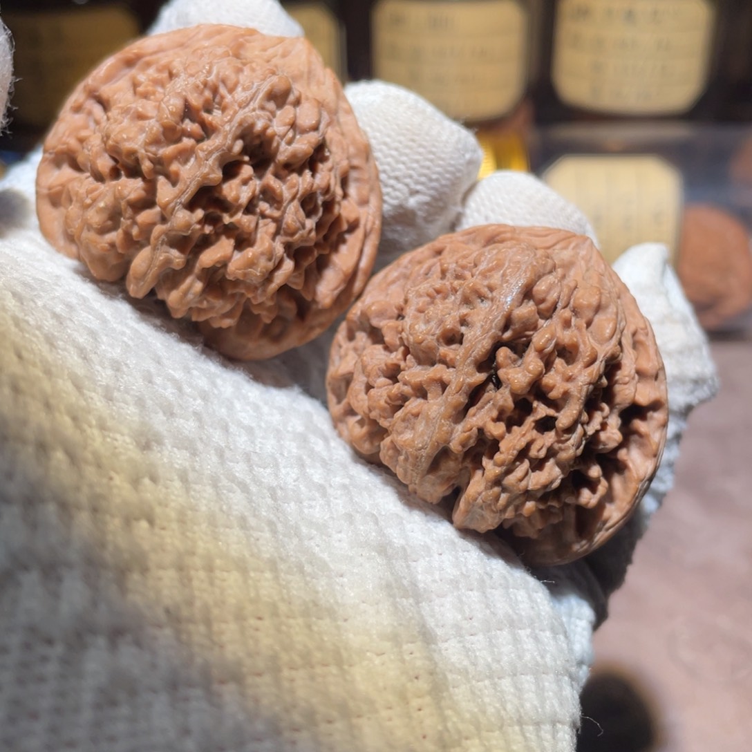 核桃44三角球星xxxxx