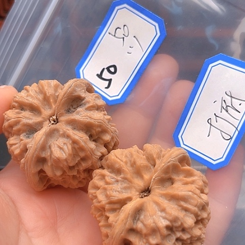 文玩核桃吊坠ツ***`野牛