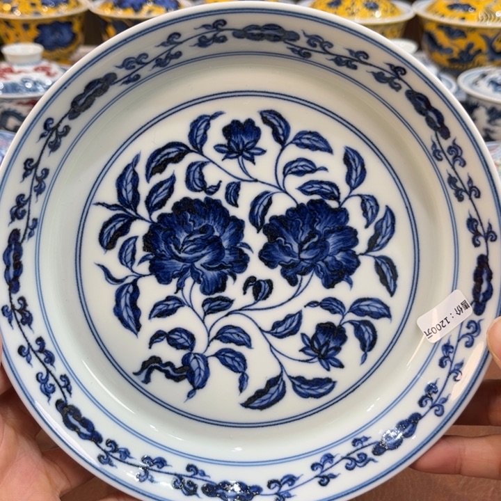 ……………………………………………………………………