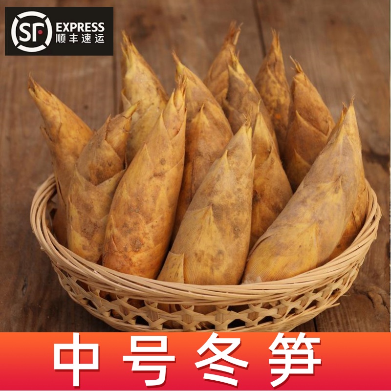 【中号冬笋】【单颗3-5两】浙江杭州发货
