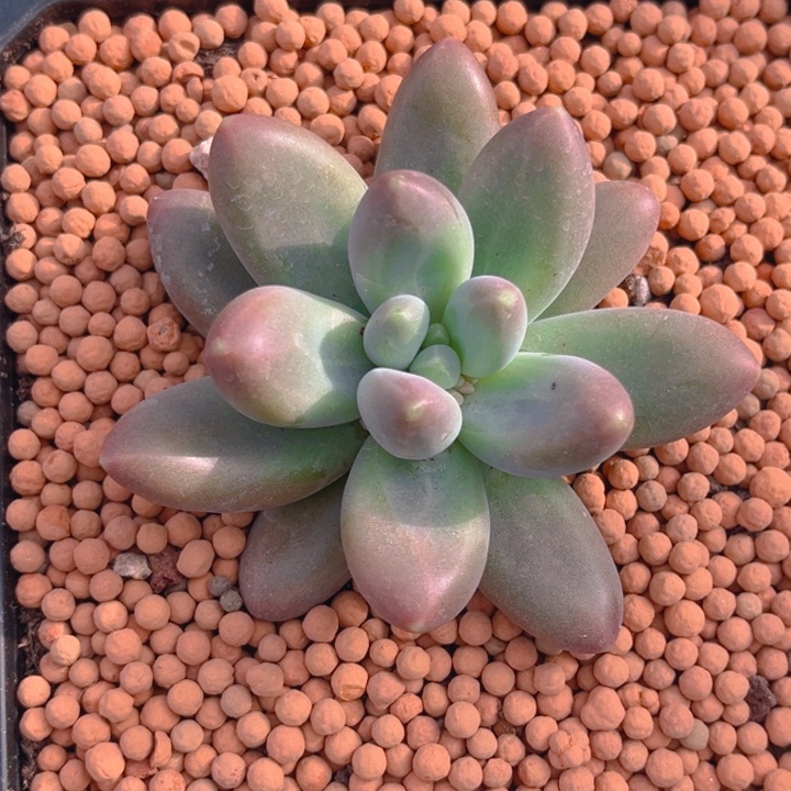 赵****111111111111111111111111111111