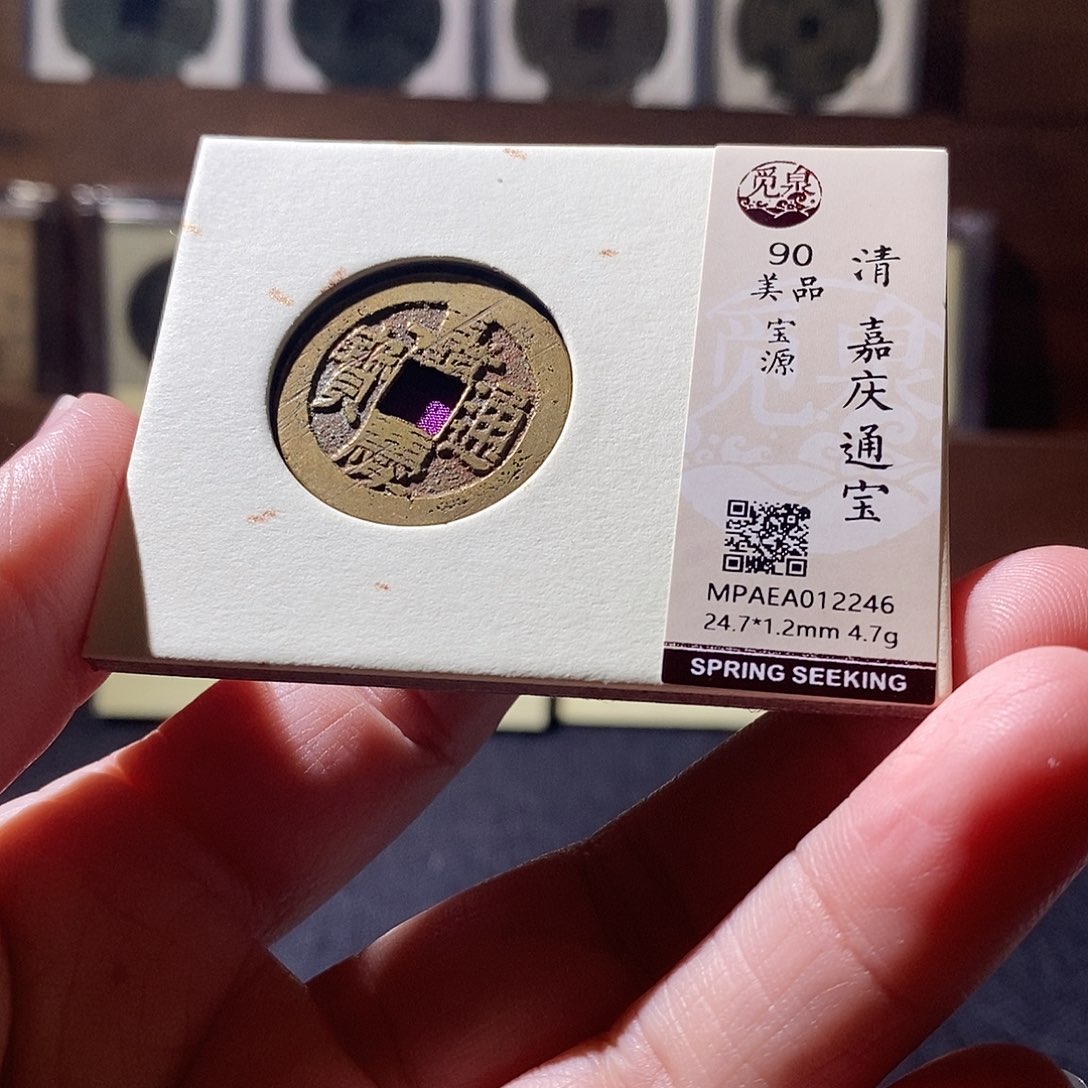 贝壳6 恭喜发财恭喜发财