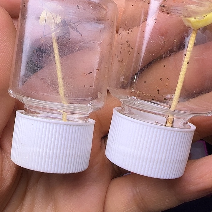 清***者哈哈哈哈哈哈哈哈哈哈哈哈哈