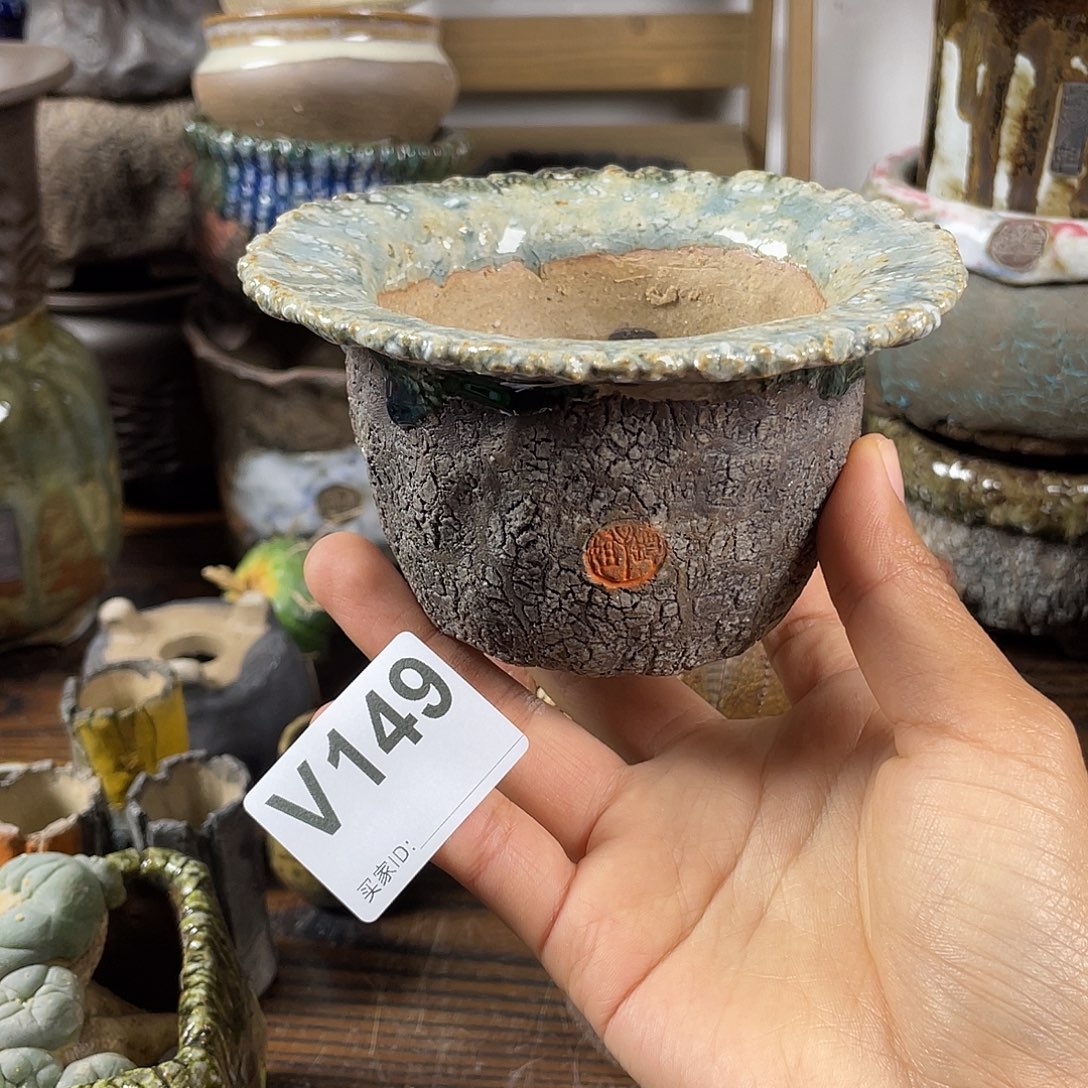 默认微次 限时福利 坛子姐花盆