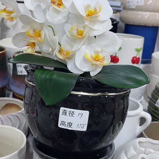 多肉绿植陶瓷花盆9.9包邮，有孔