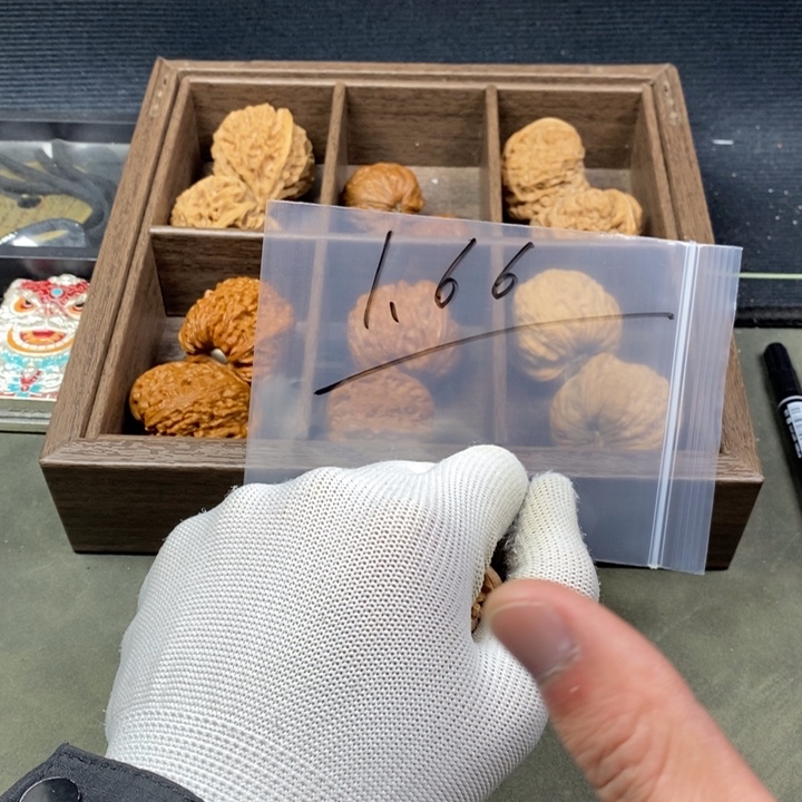 核桃等经济林果地的