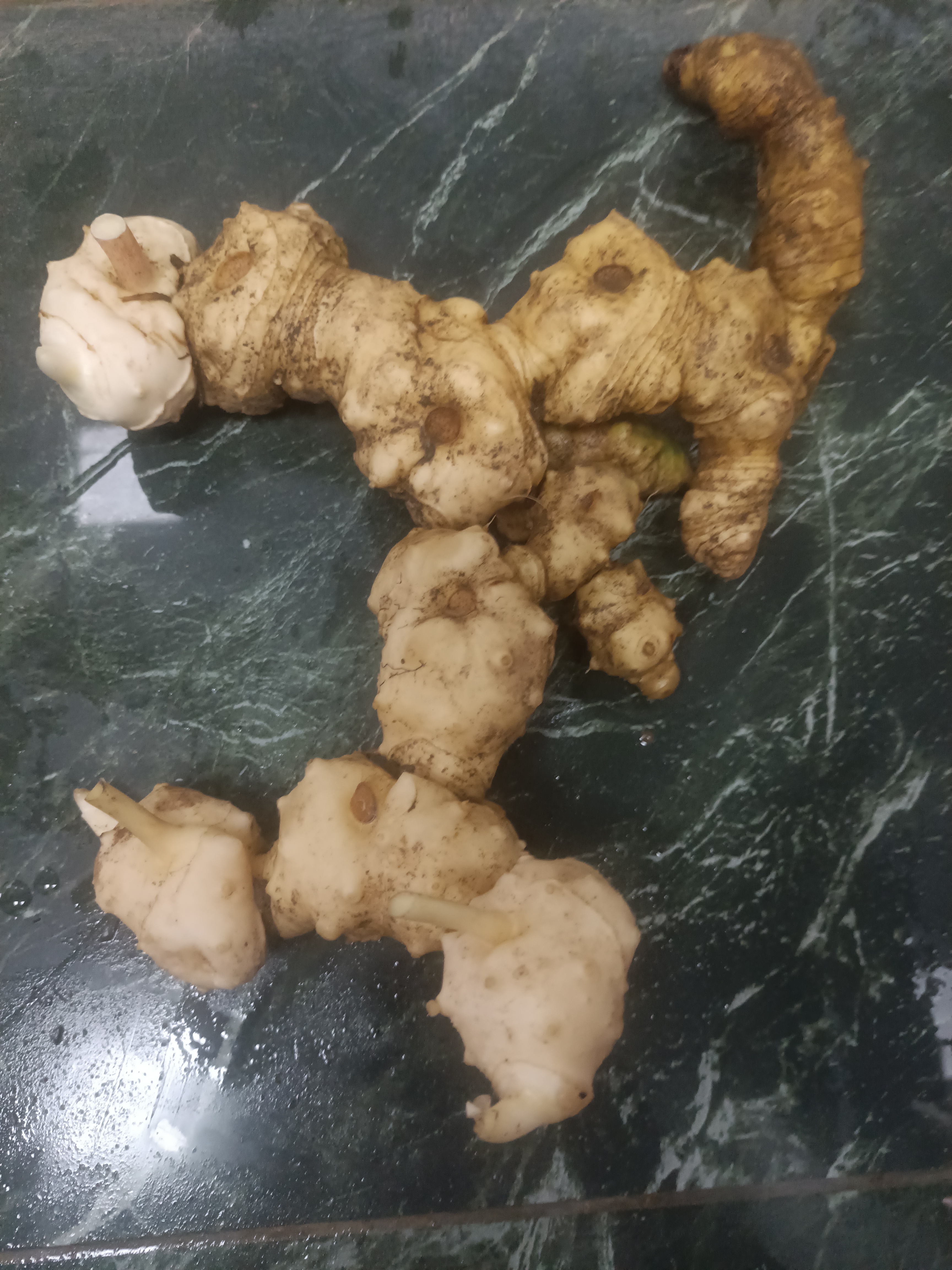 下山多花黄精，老虎姜