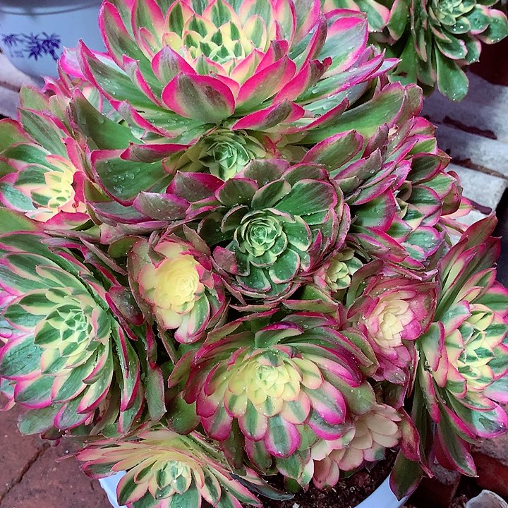 海王啊啊啊啊啊啊啊啊