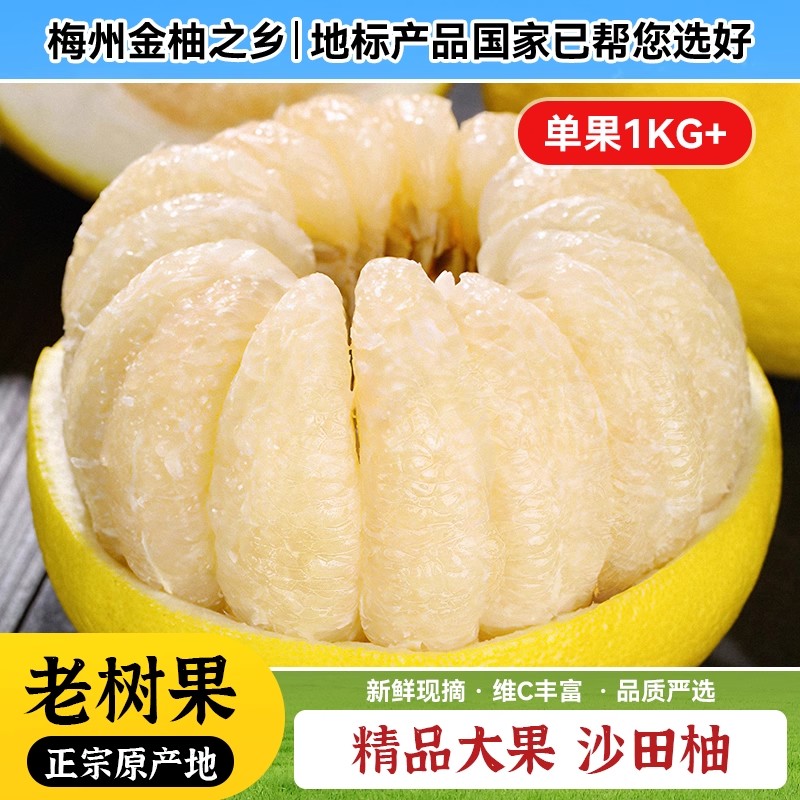 正宗广东梅州沙田柚大斤数20/30/50斤批发纯甜不酸柚子现摘现发出