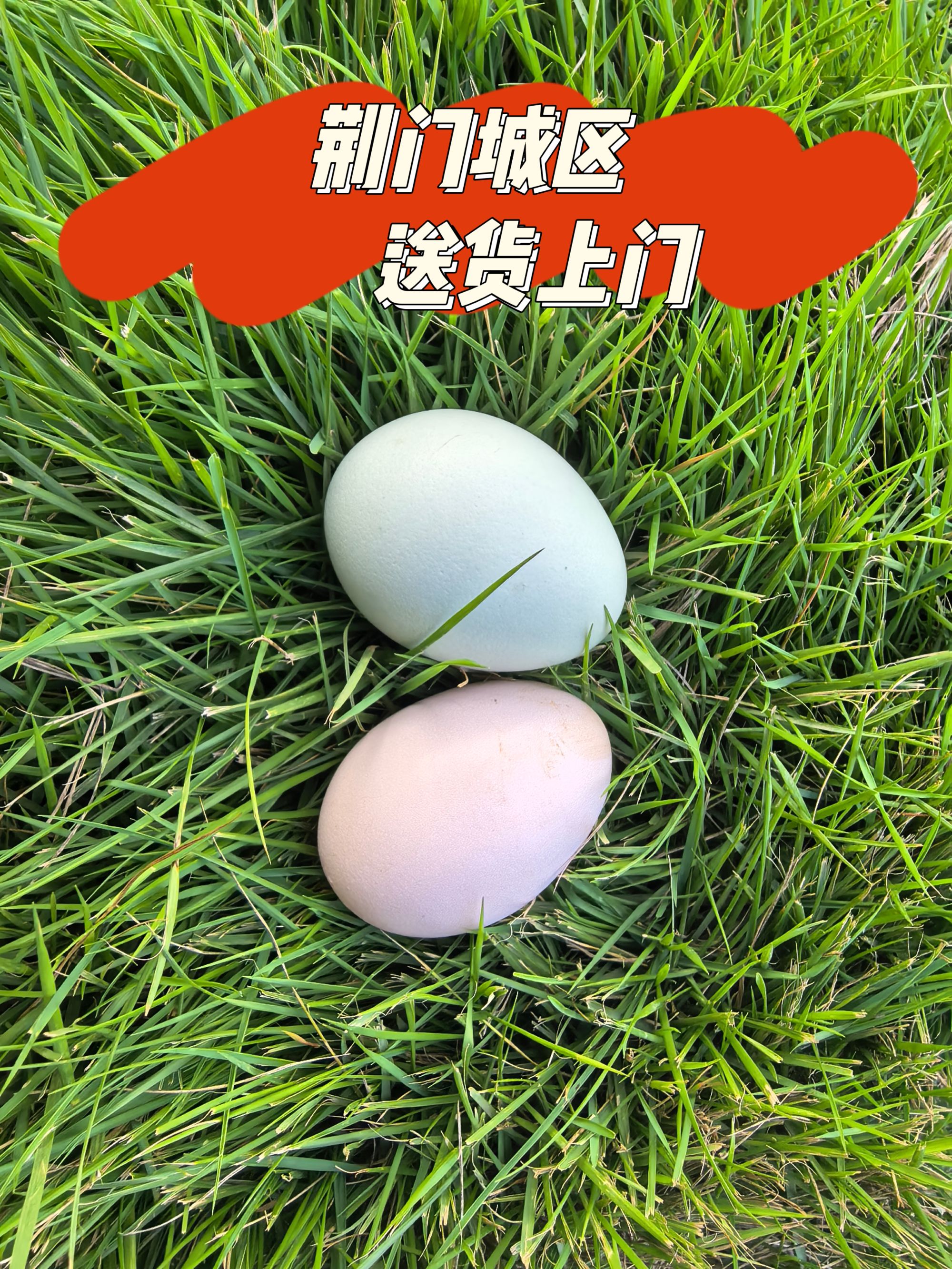 大个子正宗农家散养新鲜绿壳蛋同城配送