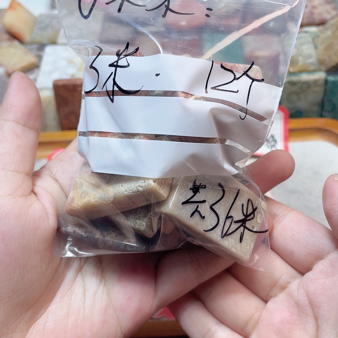 ****木硅化珊瑚（珊瑚玉）合金颈饰