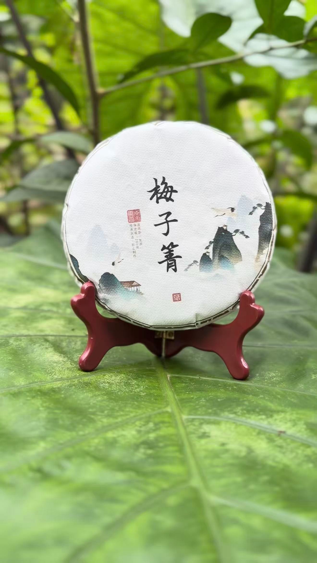 2025年云南普洱茶生茶梅子箐古树茶春200g