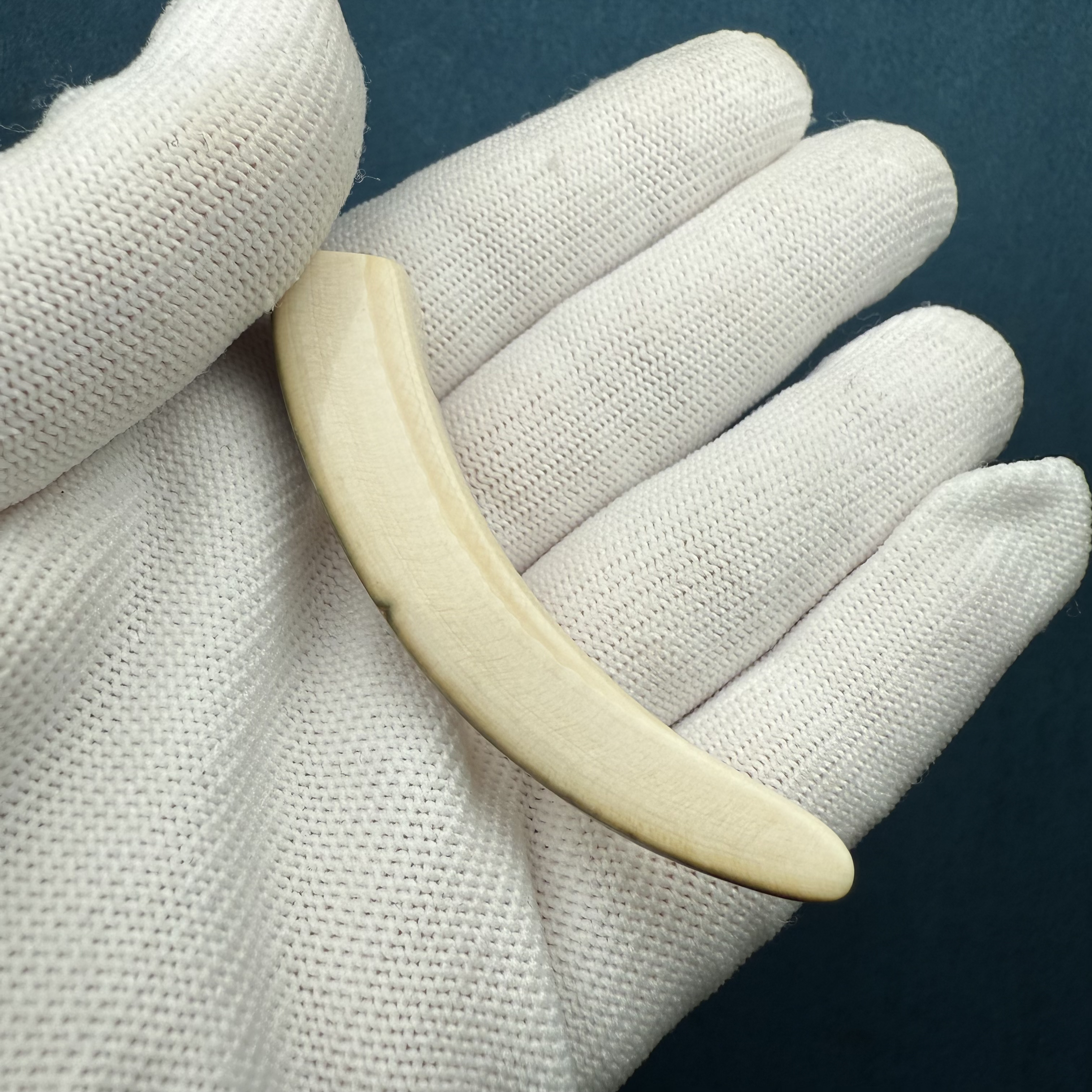 B1829天然猛犸牙 牙尖 65mm支持复检，假一罚四