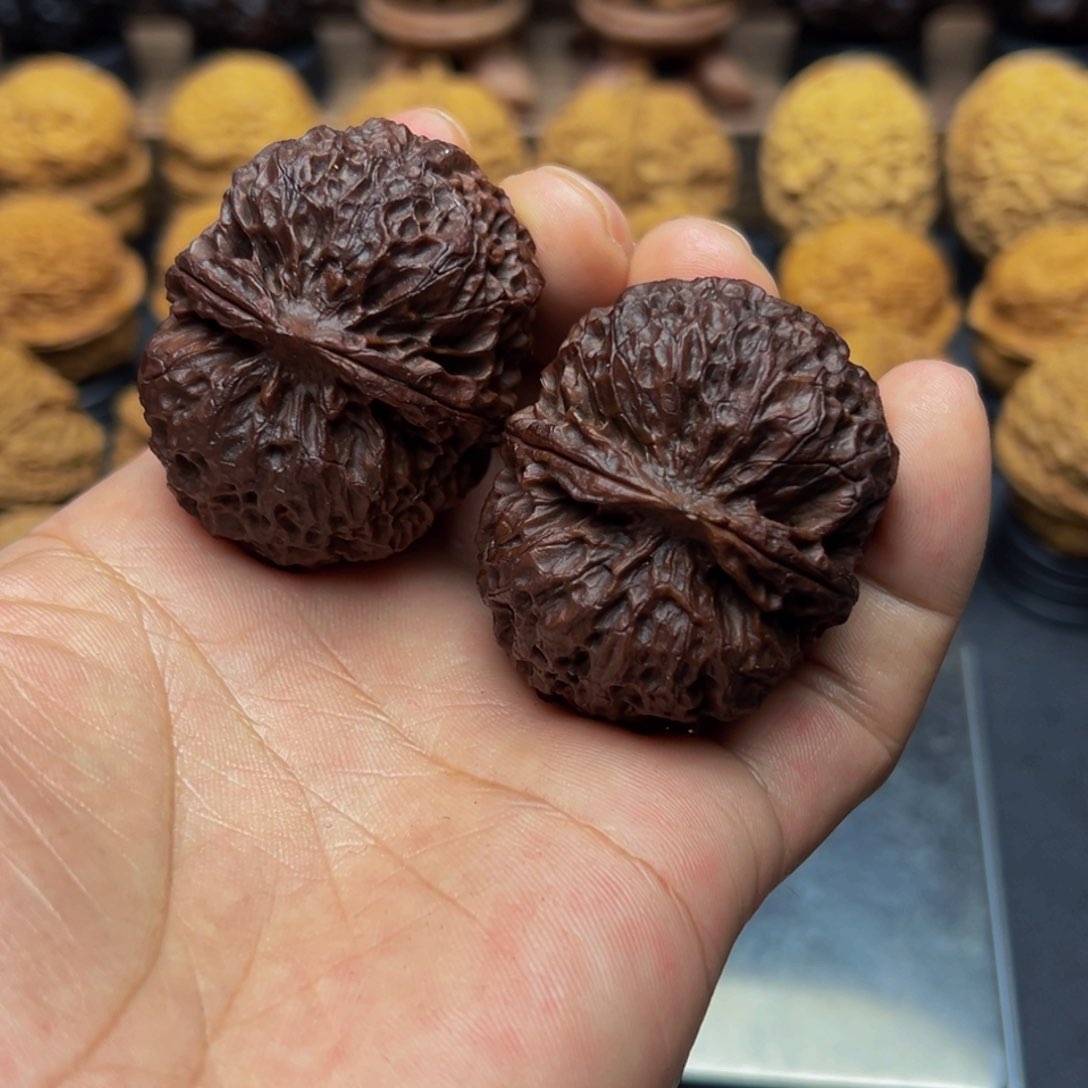 东*.45尺寸七彩龙鳞王 一物一图