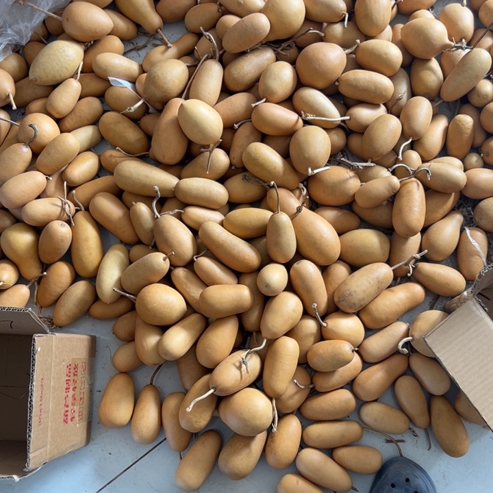 张***房大叶紫檀（黑酸枝木类）