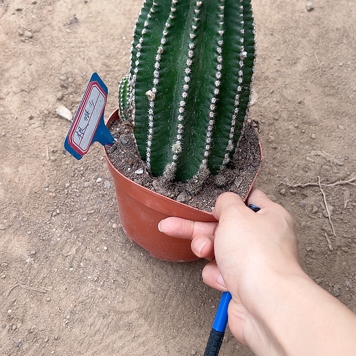 l****恭喜发财。         