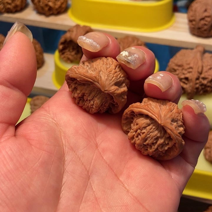 官方网站发布消息