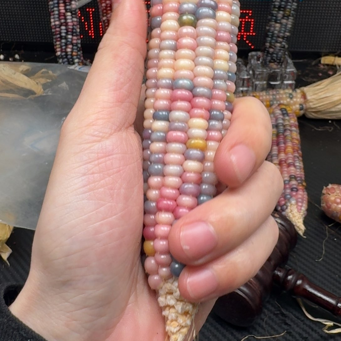 柏香籽/百香籽吊坠小**白