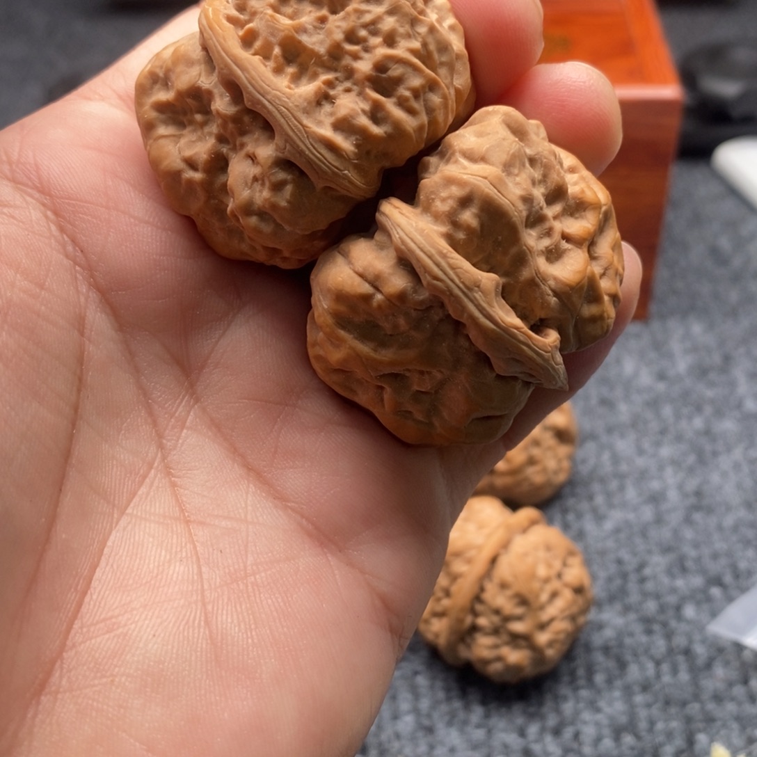 孙***宝好的我真的是太喜欢了一个