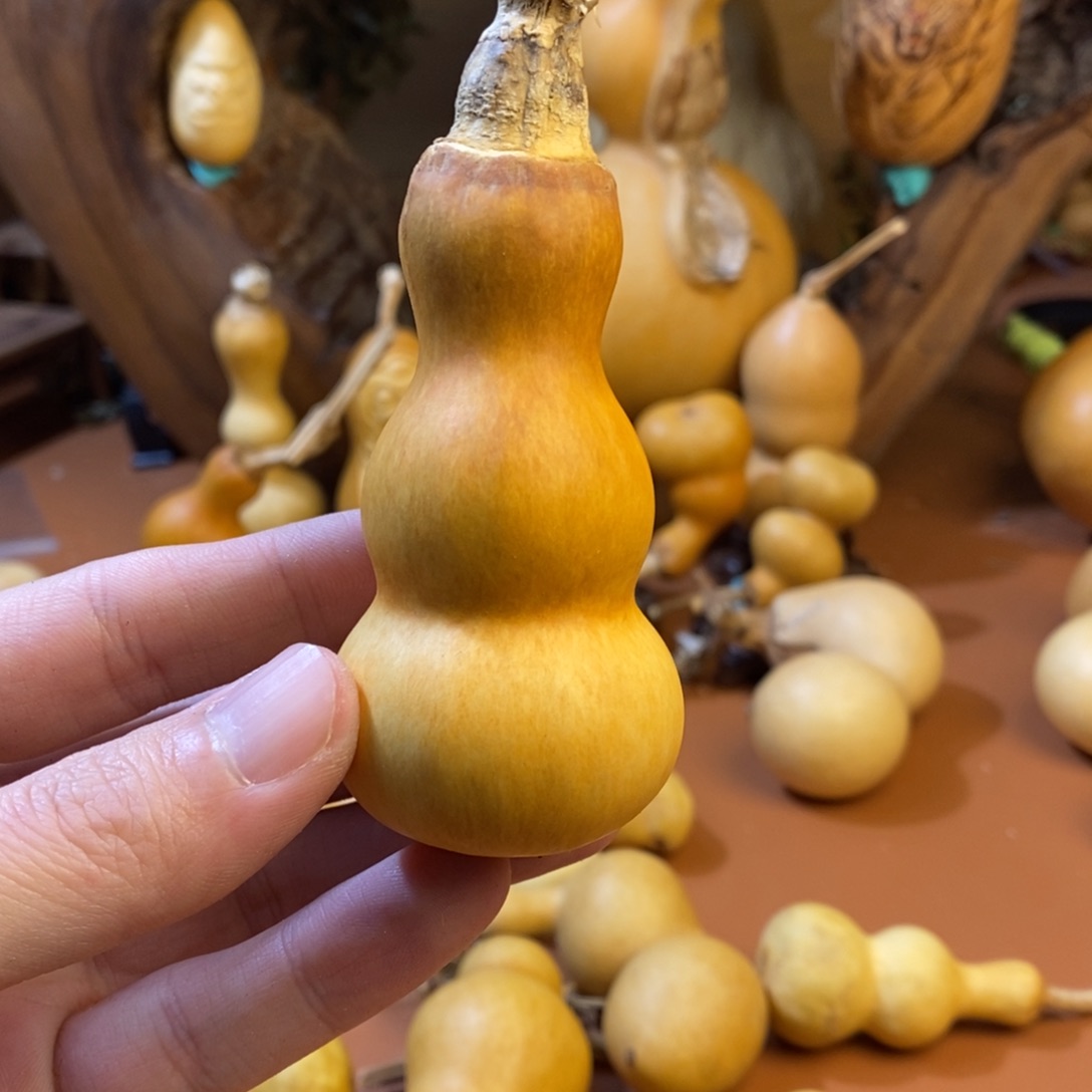 老***勒途径教练教练教练哭