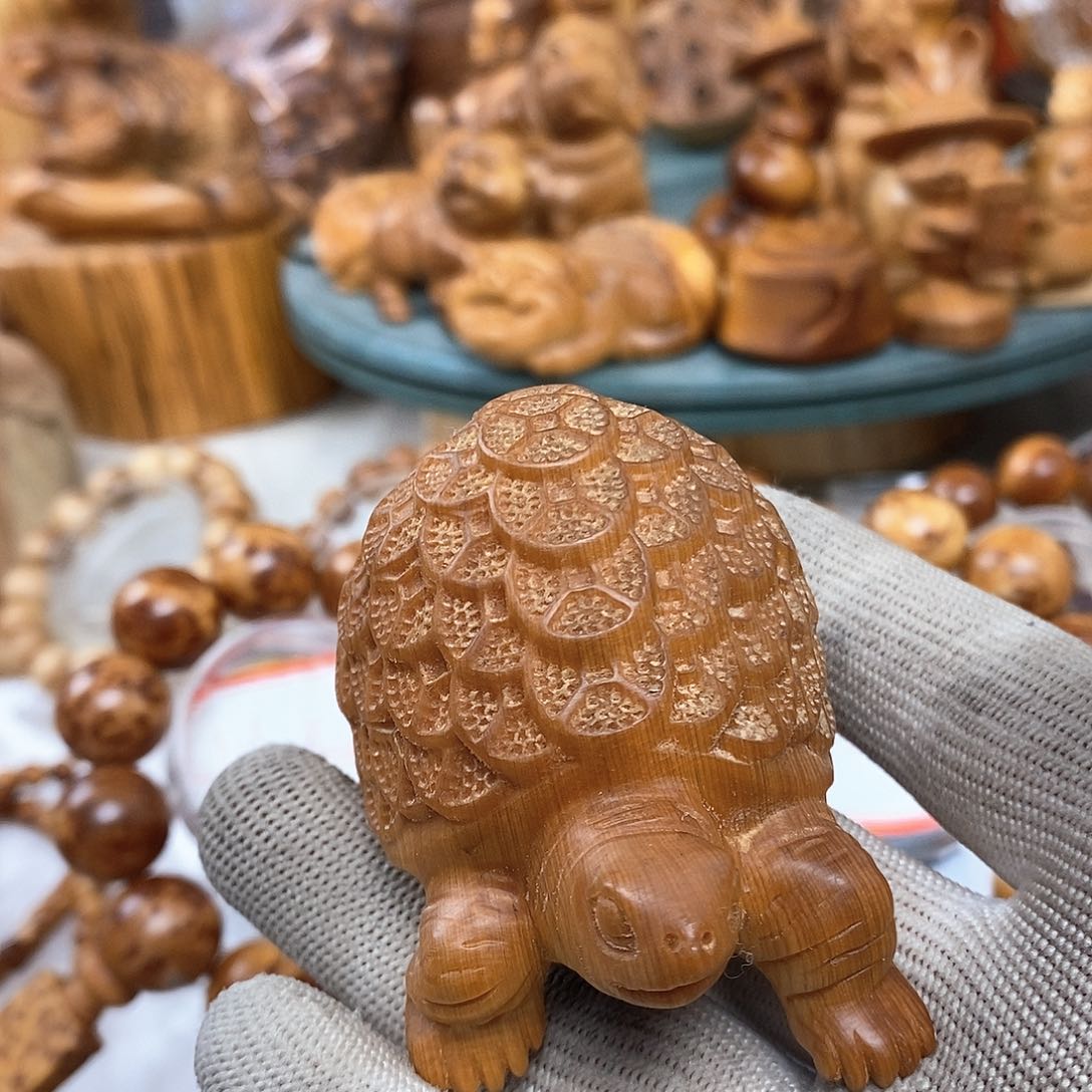 柏木（崖柏）太行崖柏