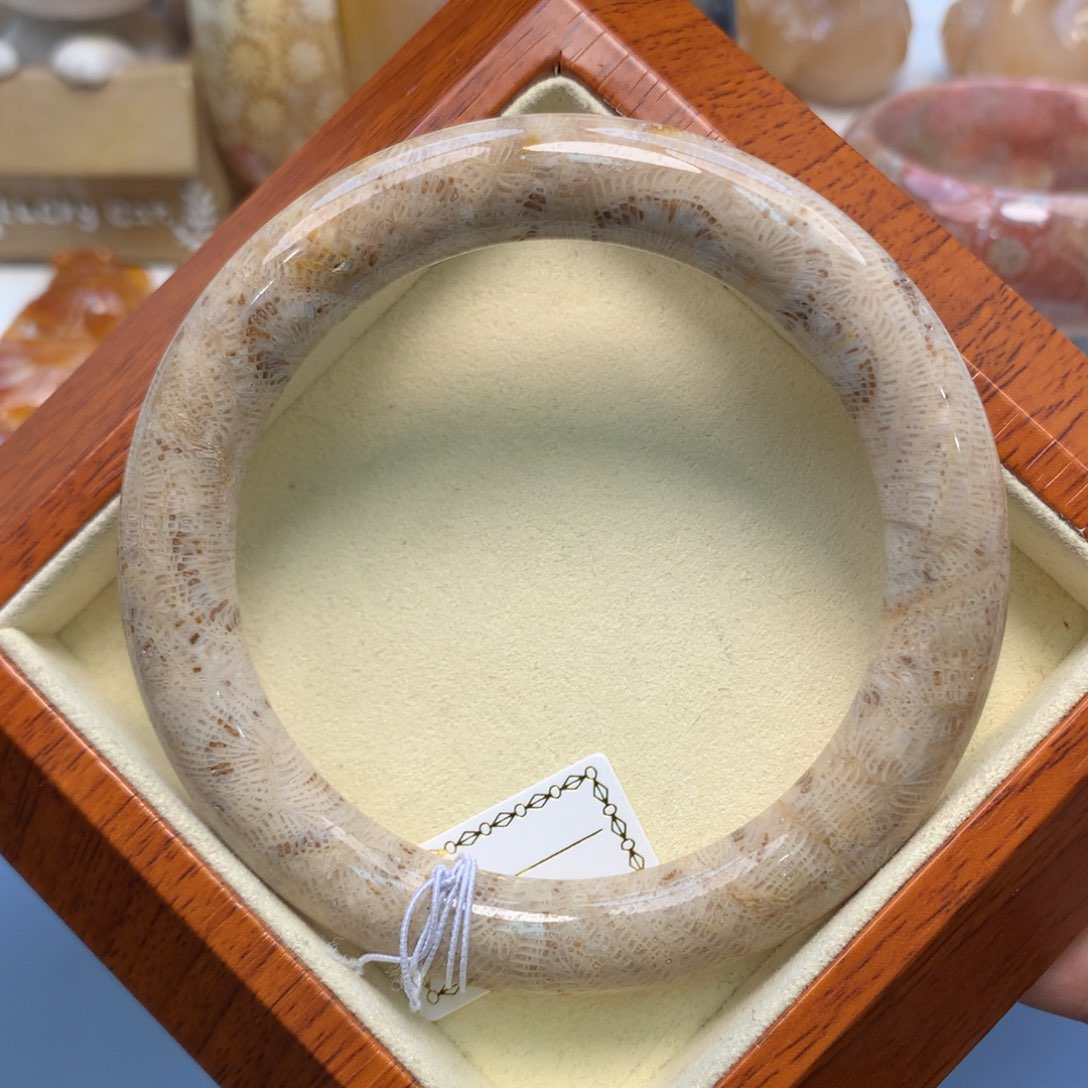 硅化珊瑚（珊瑚玉）手镯未镶嵌凤尾带骨骼