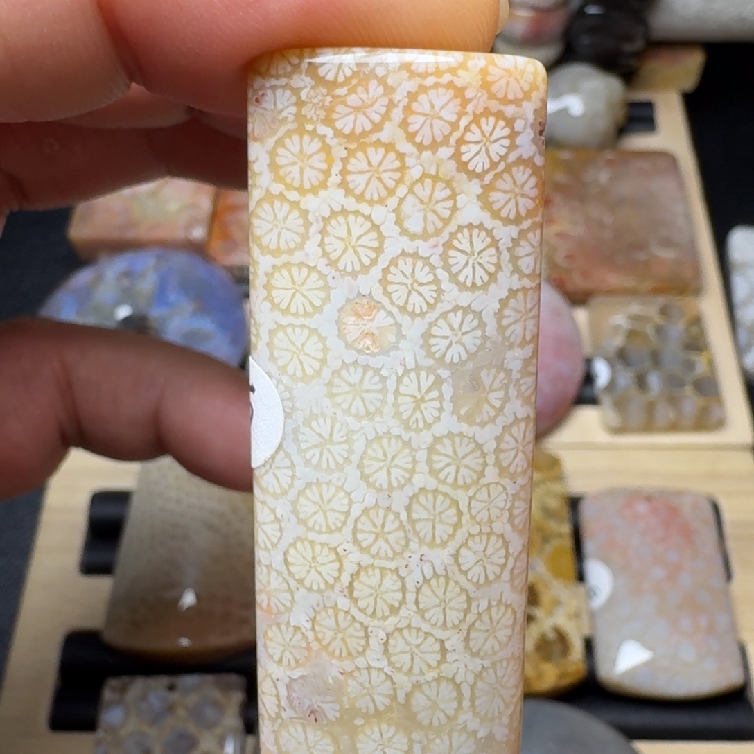 硅化玉未镶嵌纯天然色有机玉石保真色