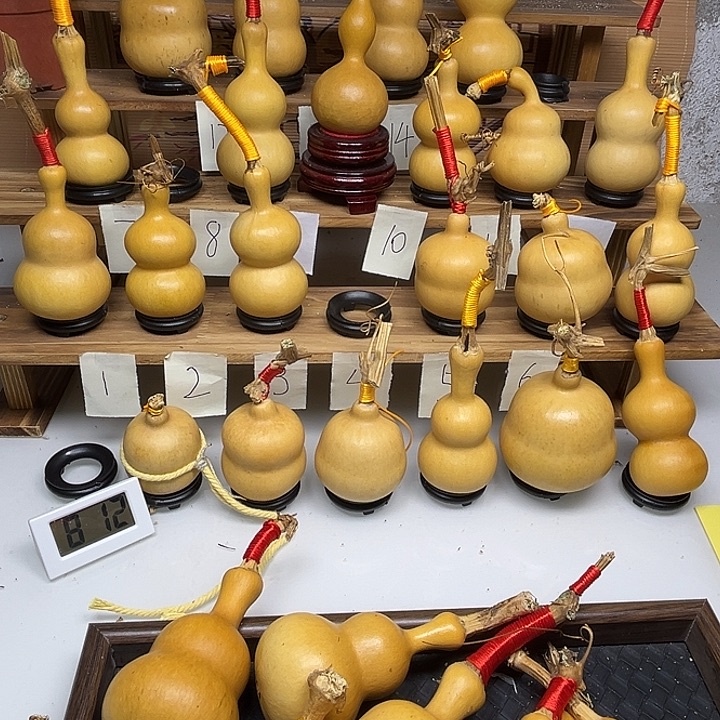 酸***虾啦啦啦啦啦啦啦啦啦