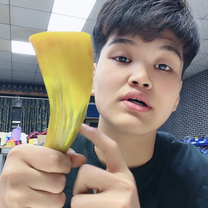 非洲紫檀（红花梨）黄木头