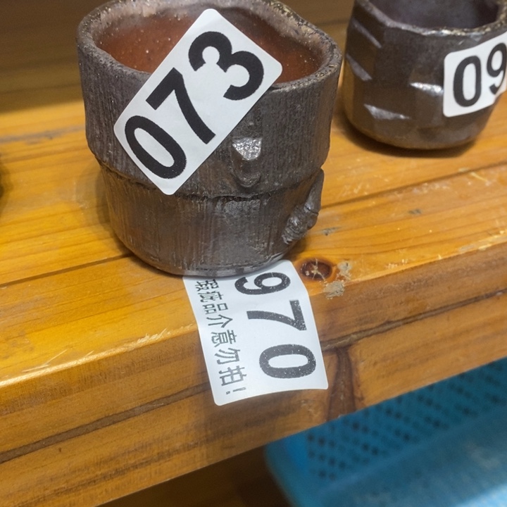 杯柴烧肉等特色菜式