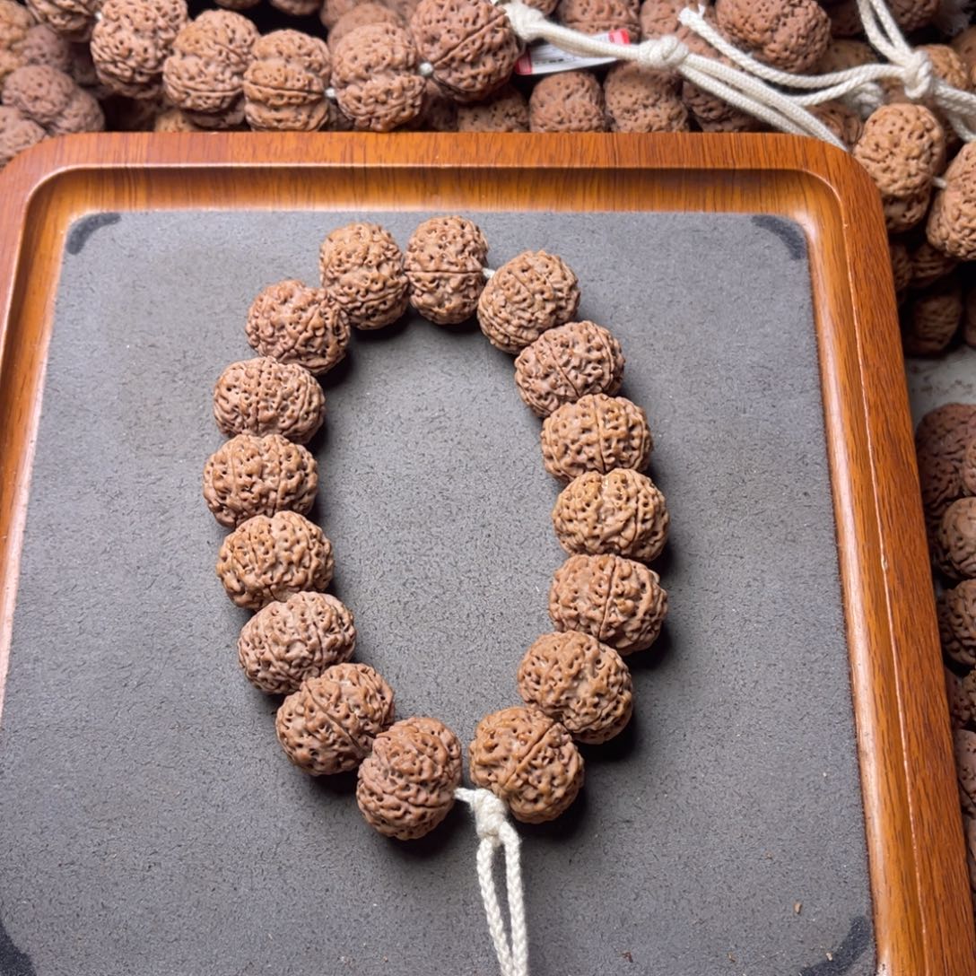 菩提籽类9号金刚菩提矮壮六瓣21