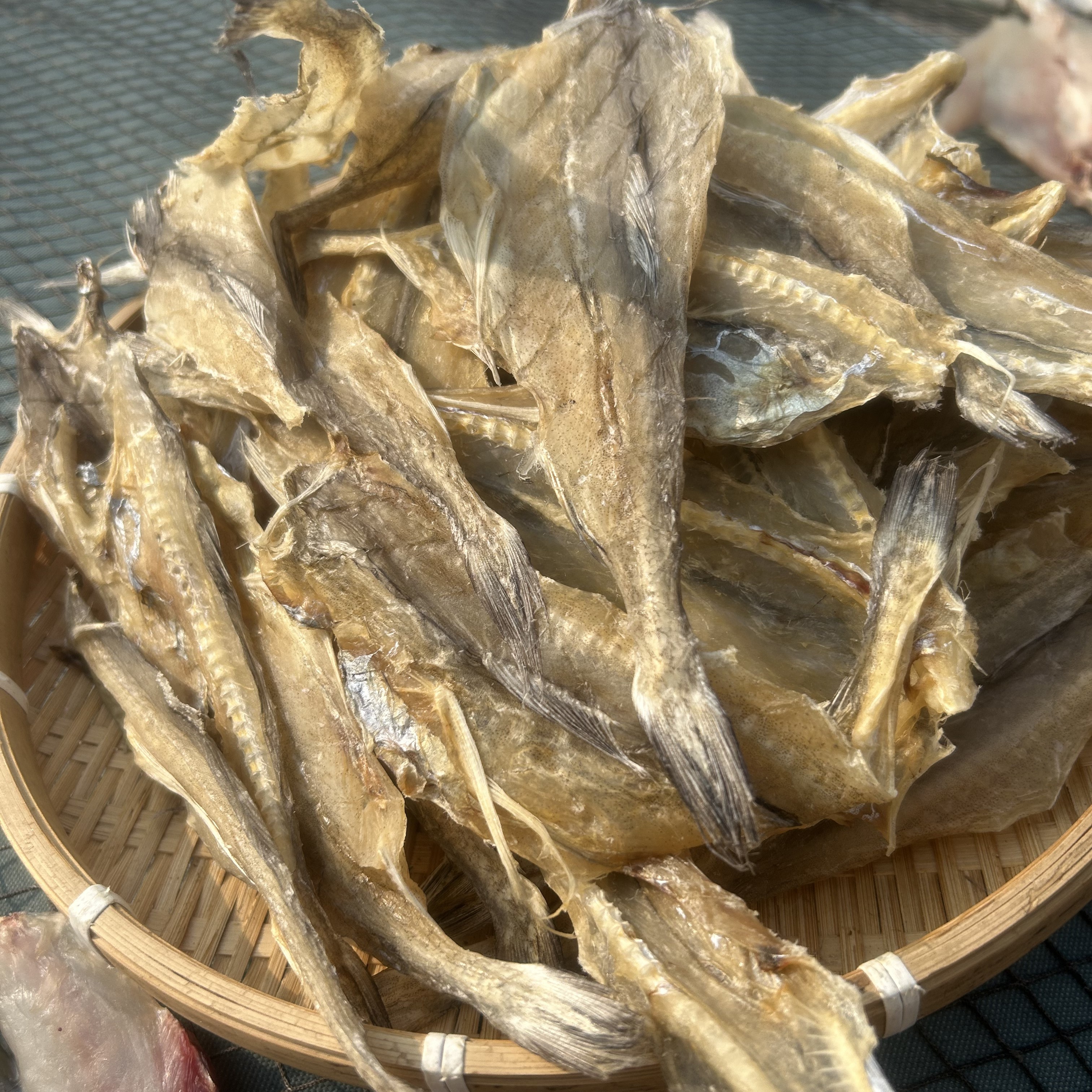 自晒狗兔鱼干龙头鱼干流鼻干淡晒无盐