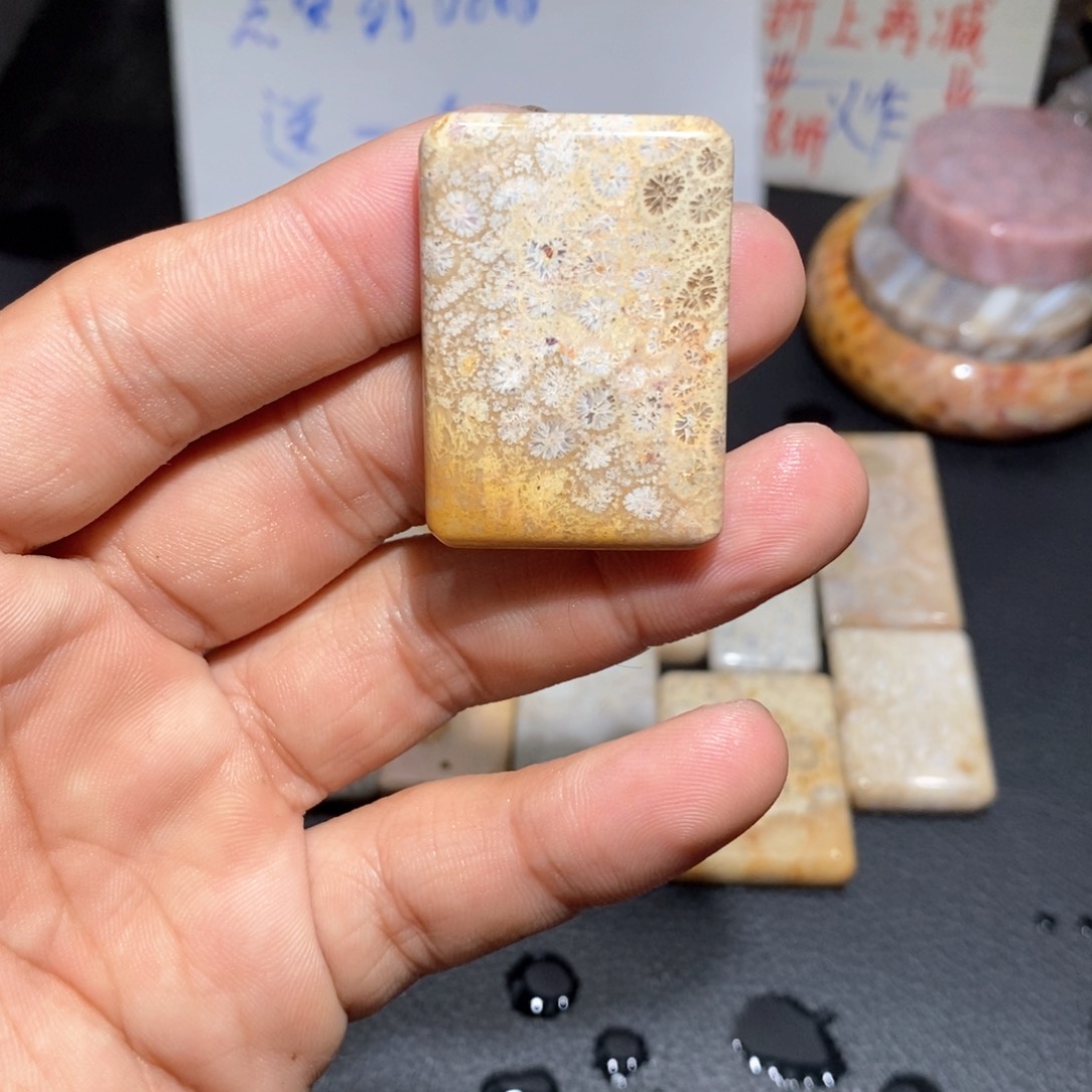 【闪购商品】硅化玉颈饰足银镀金镶嵌