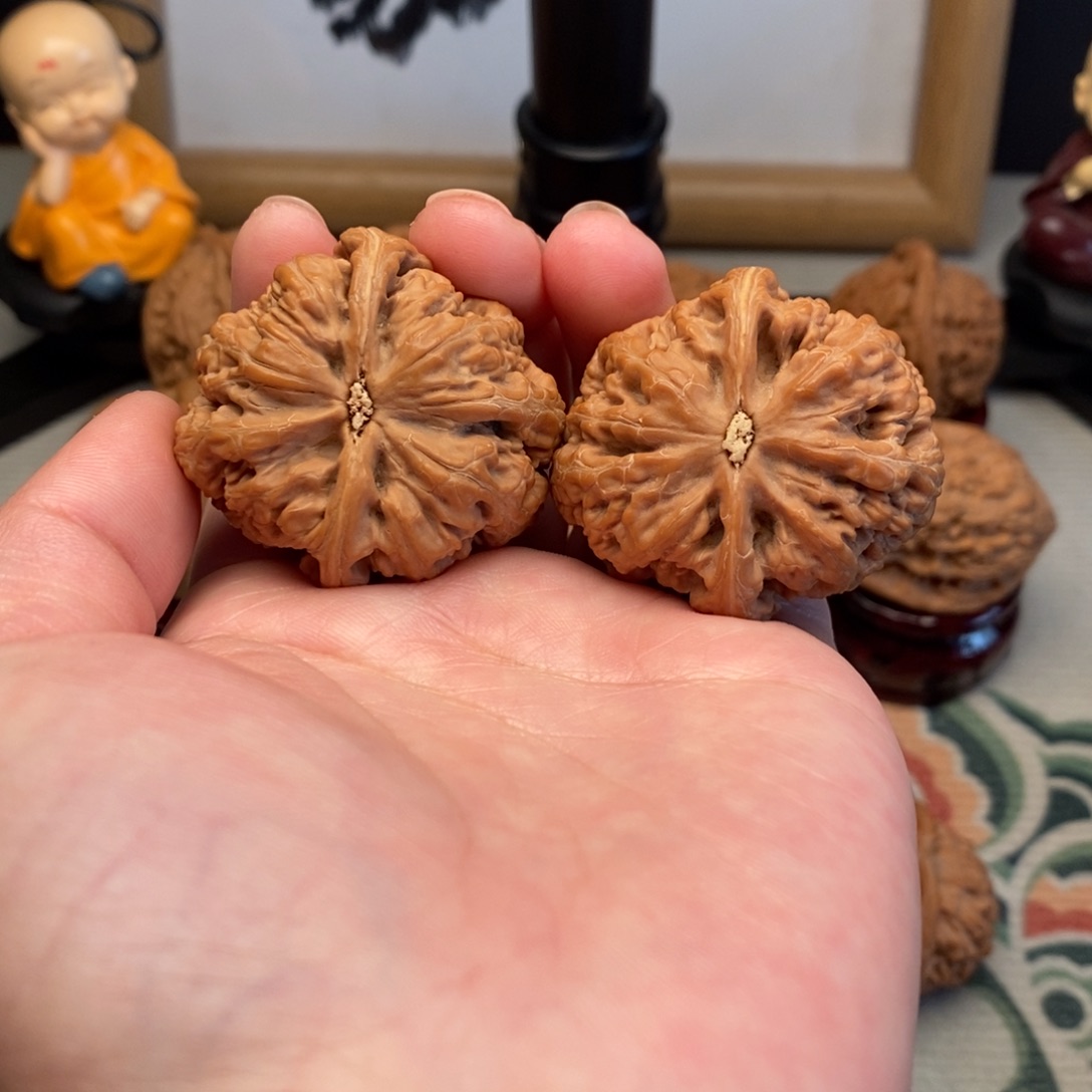 文玩核桃把件39尺粗筋