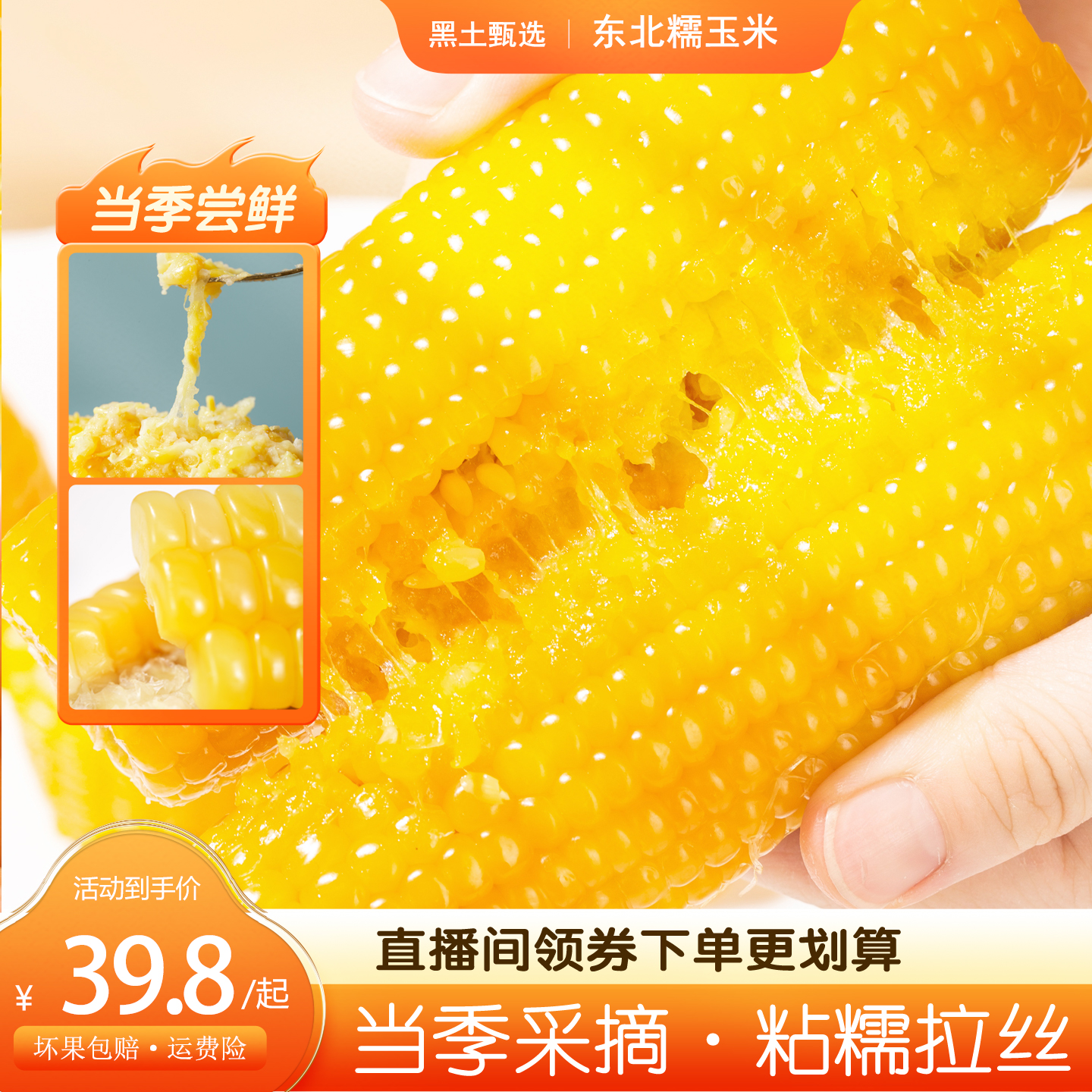 【试吃1根】2025东北头茬黄糯玉米 粗粮轻食 新鲜真空独立包装8支装