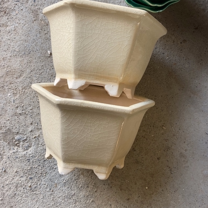 花盆花盆花盆花盆