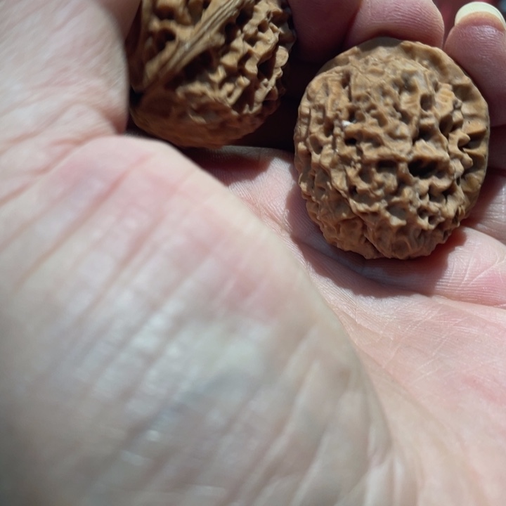 文玩核桃把件云铁4