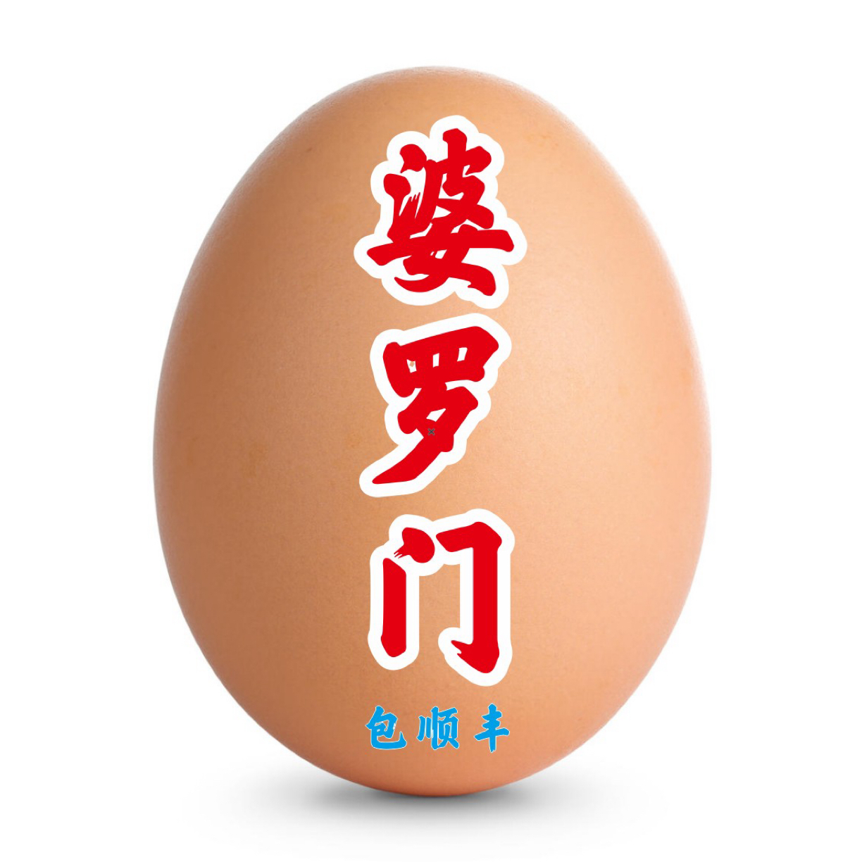 观赏鸡蛋各种婆罗门紫怀特科钦球翻毛希尔