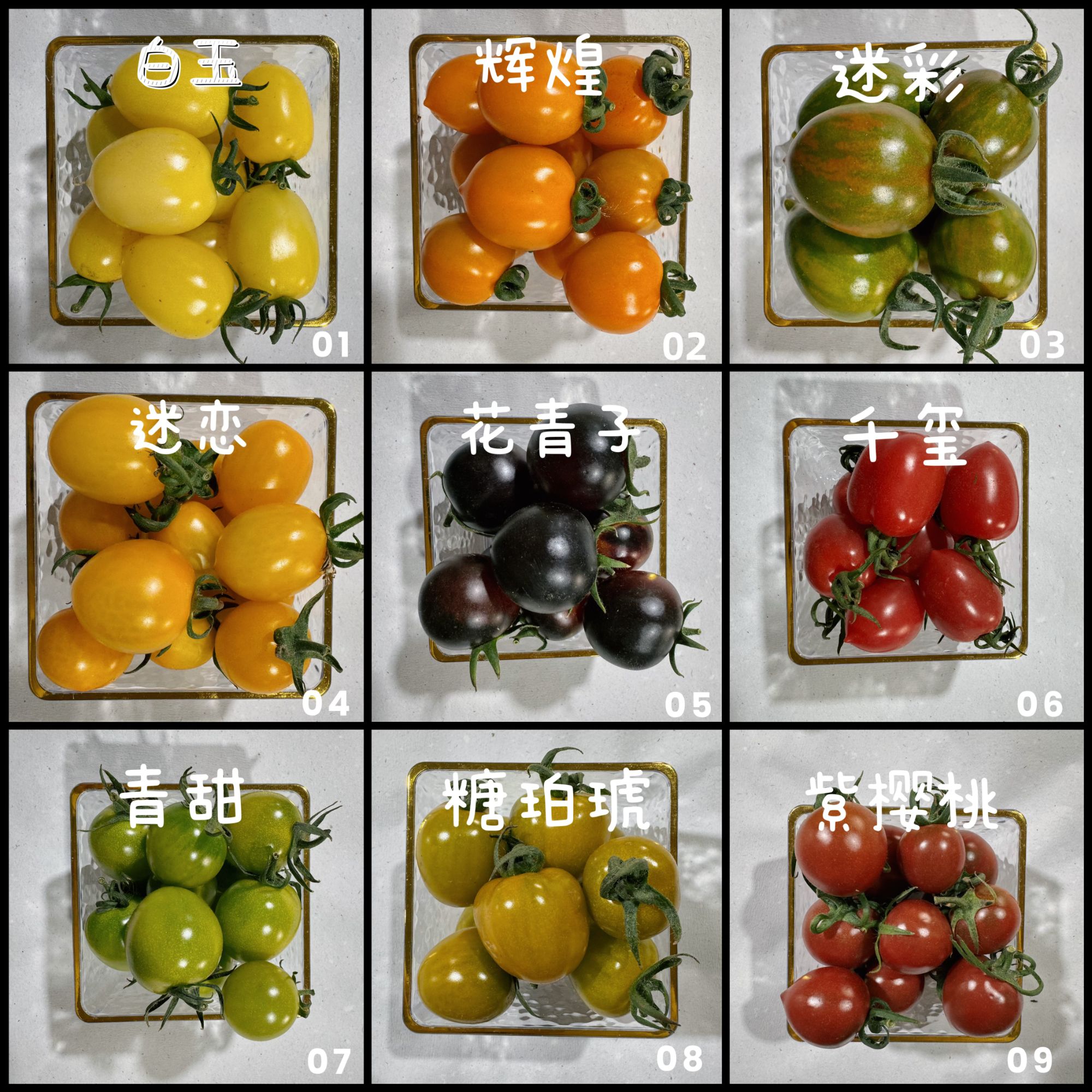 【顺丰包邮】多彩特色口感小番茄随机7种5种新鲜采摘寿光直发